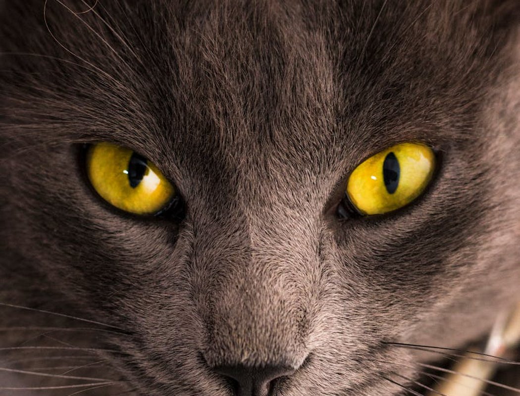 Схема ажурного плетіння бісером у пастельних тонах Паперова схема ажурного плетіння бісером у пастельних відтінках