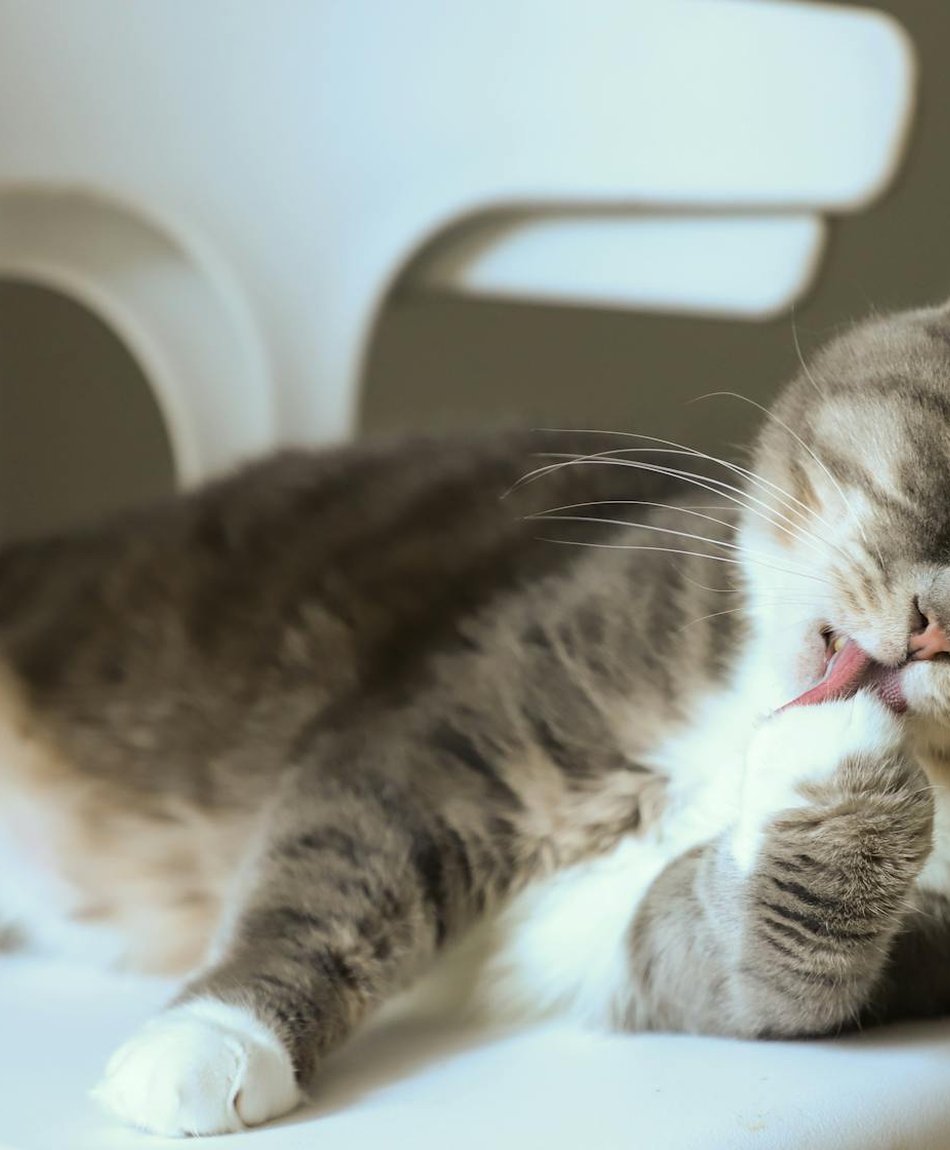 Доставка бісеру оптом по Україні — умови, терміни і надійні постачальники Картонні коробки з бісером готові до доставки оптовому замовнику в Україні