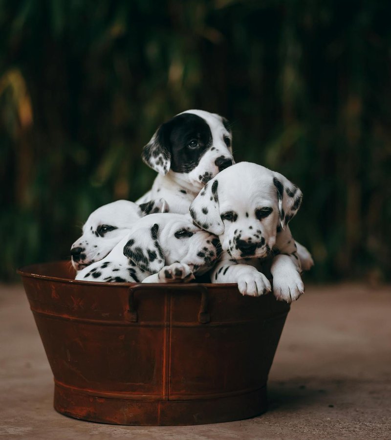 Купити японський бісер в Україні — вибір якісних матеріалів для рукоділля Асортимент японського бісеру для бісероплетіння в інтернет-магазині України