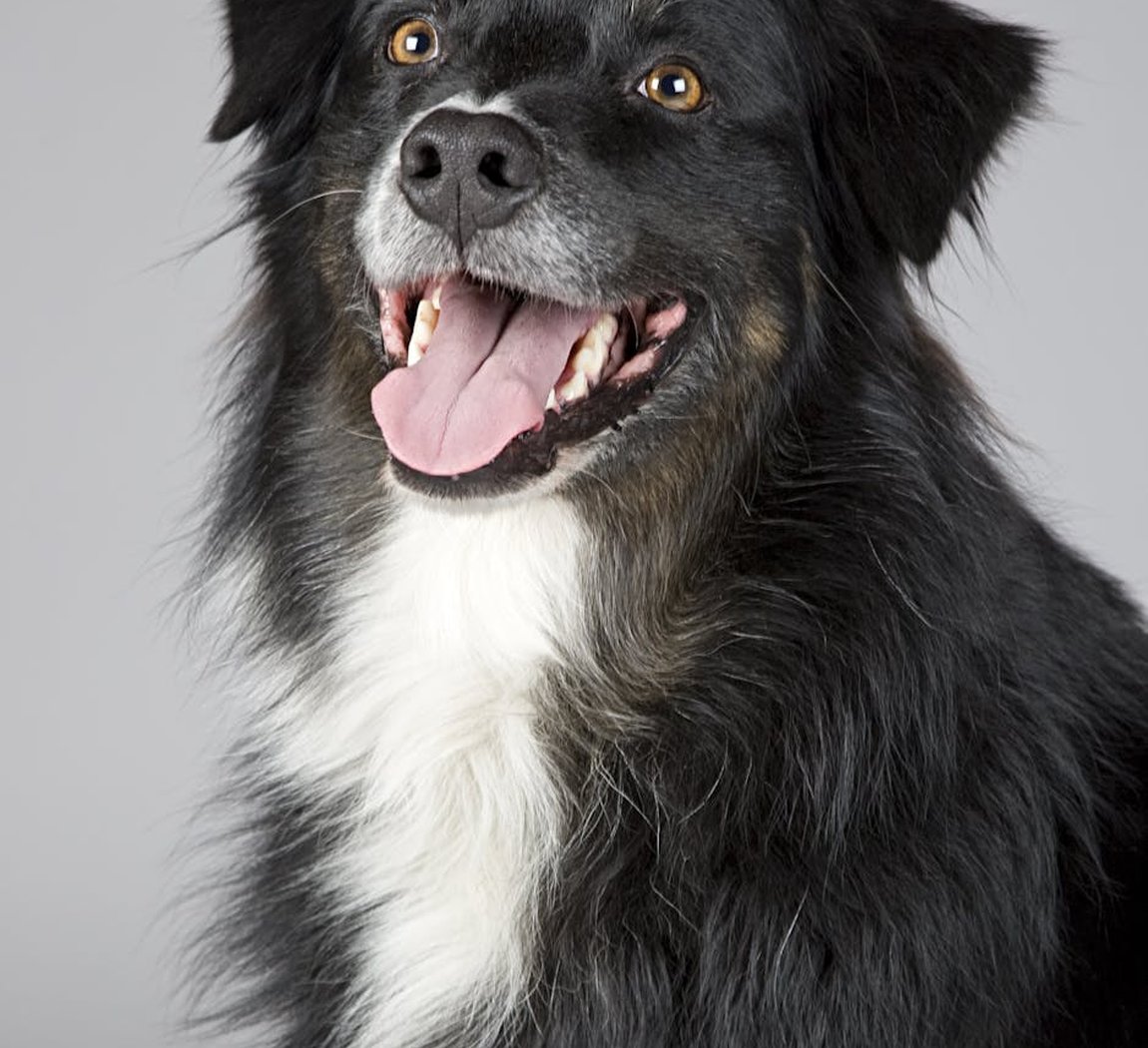 Покрокові інструкції бісероплетіння бузка Деревце з бісеру у формі бузка