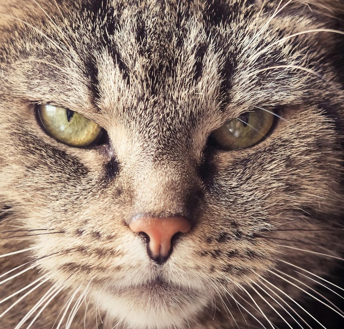 Лупа для бісеру: незамінний інструмент для рукоділля Лупа для бісеру, що допомагає в роботі з маленькими деталями