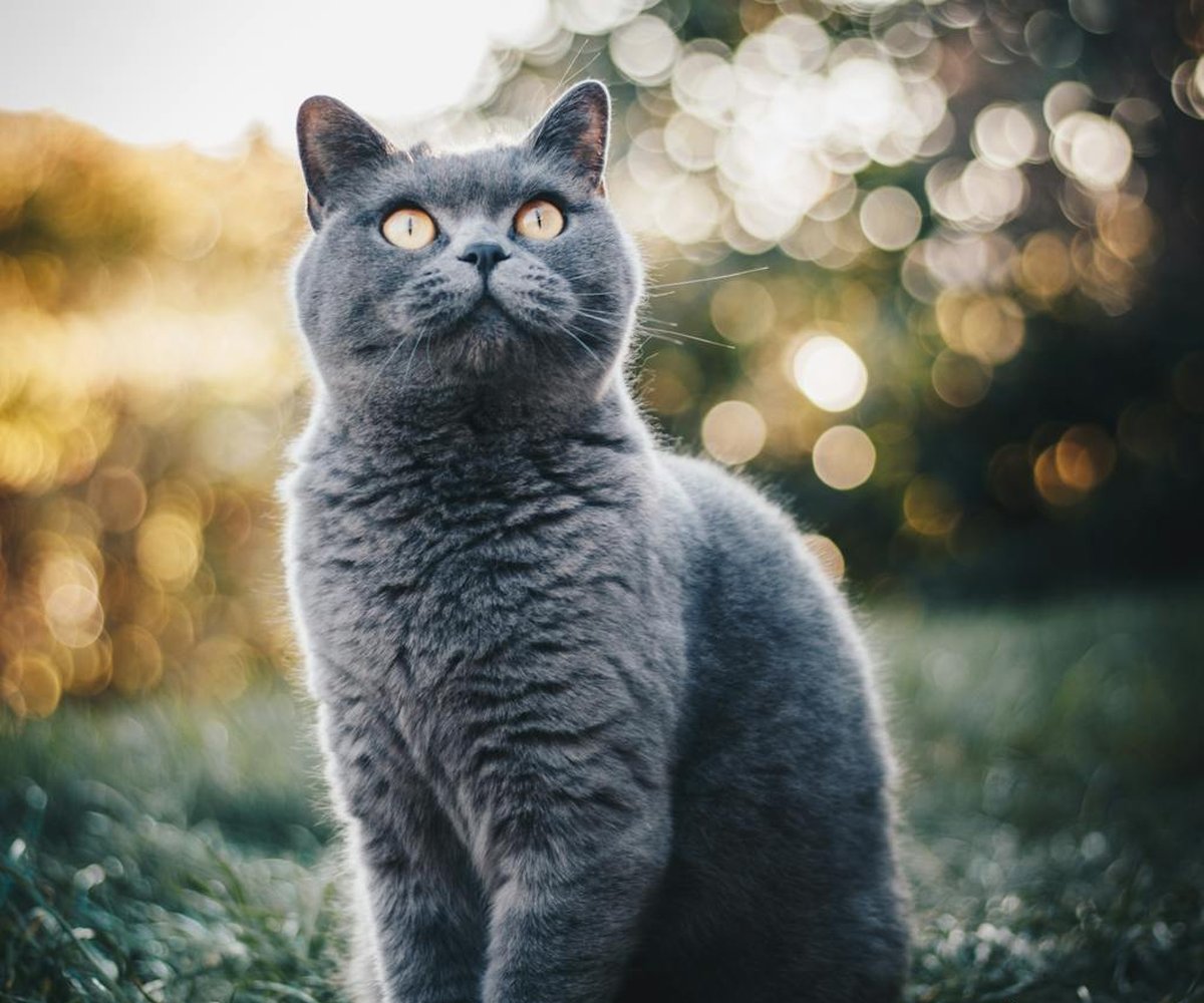 Квітковий кулон, виготовлений з бісеру Delica 11/0 Унікальний квітковий кулон з японського бісеру