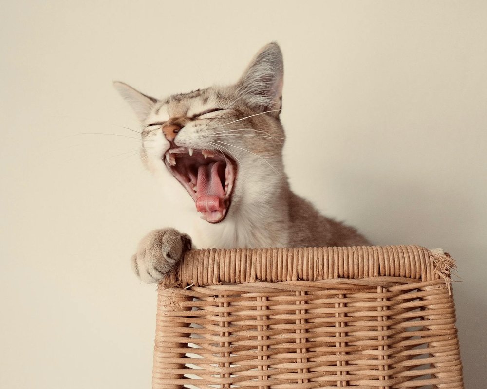 Мобільний органайзер для бісеру: зручність на кожному кроці Компантійний органайзер для бісеру та інструментів