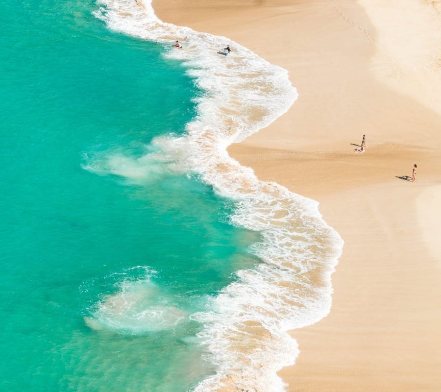 Унікальні прикраси з бісеру у вигляді ромашки Красиві прикраси з бісеру у формі ромашки