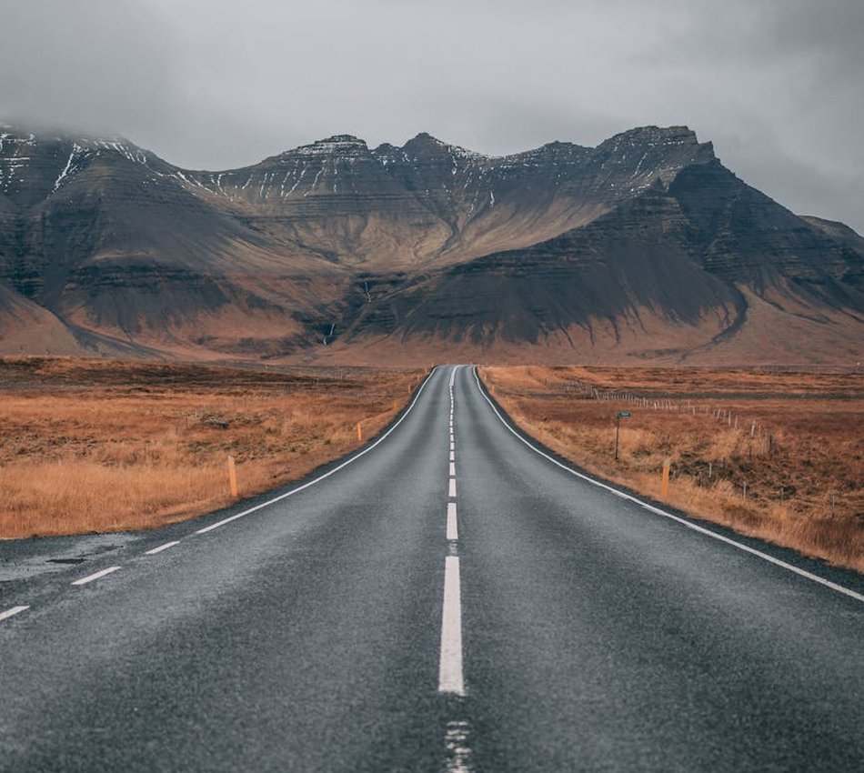 Креативні олені з бісеру як подарунки Олені з бісеру для декору інтер'єру