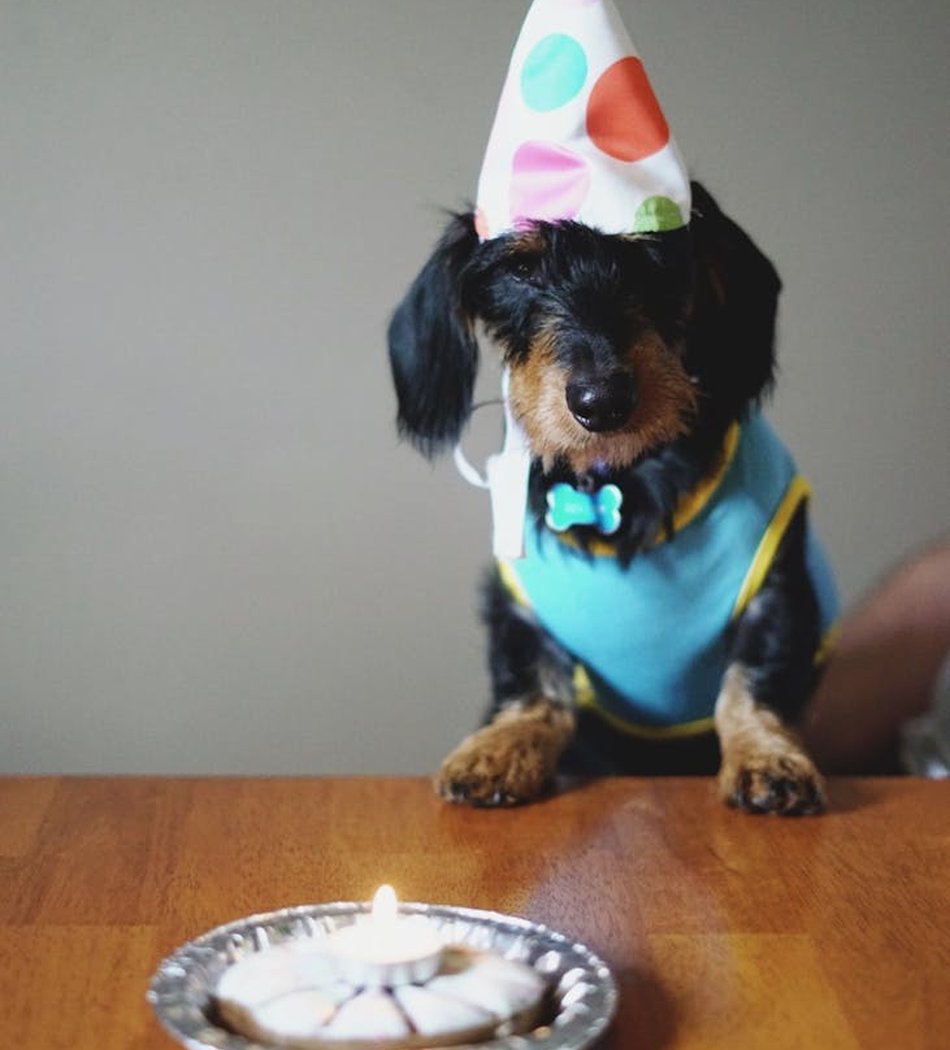 Новорічні гірлянди з бісеру для створення атмосферного свята Красива новорічна гірлянда з бісеру для святкового декору