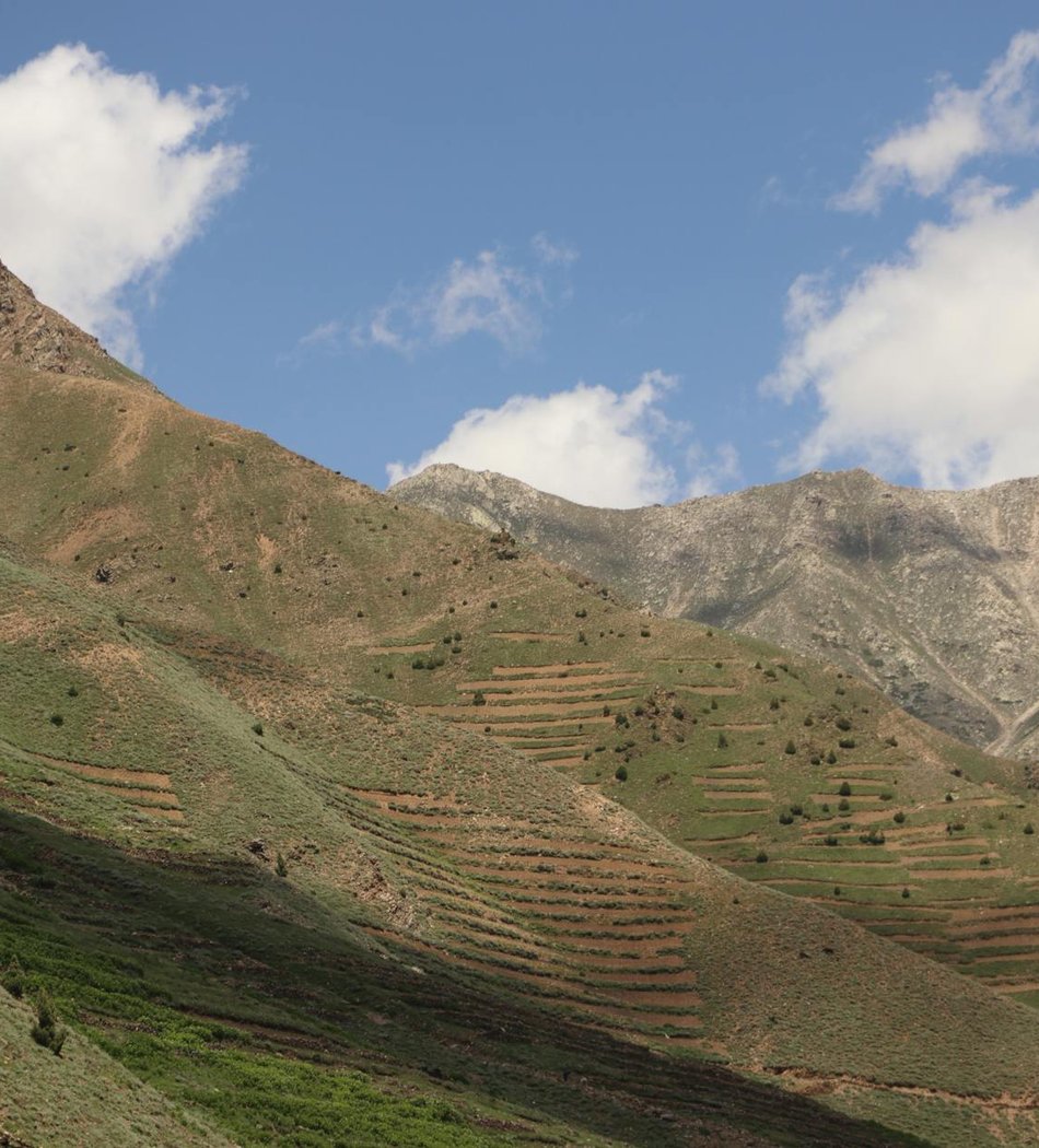 Кольє на дроті: унікальні бісерні прикраси для будь-якої події Стильне кольє на дроті з кольоровим бісером