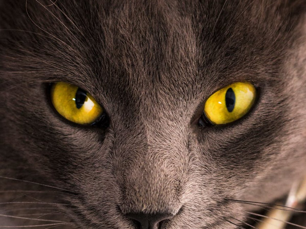 Поради для швидкого та красивого плетіння браслетів корисні поради по плетенню браслетів