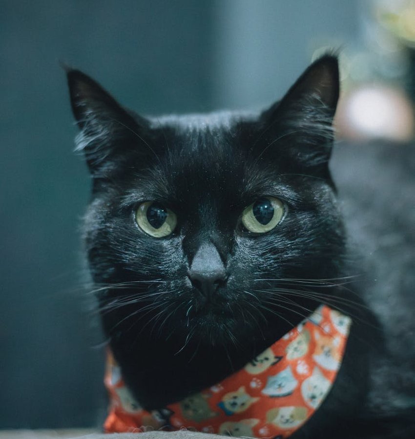 Бісерна ялинка: чудовий новорічний декор Бісерна ялинка на новорічне свято