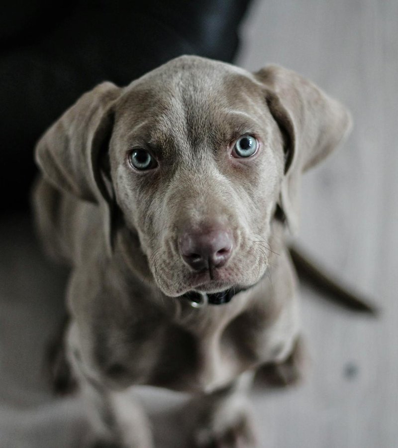 Правила догляду за весільними бісерними прикрасами Догляд за весільними прикрасами