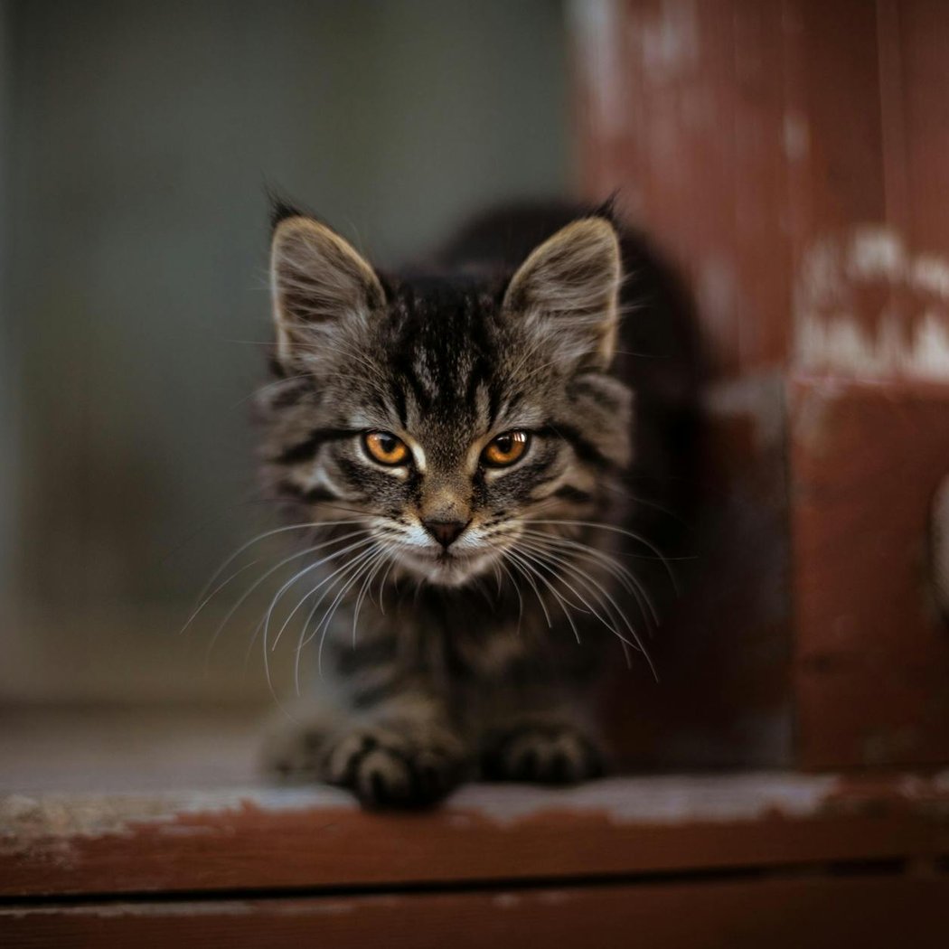 Де купити недорогий бісер оптом: огляд онлайн-магазинів Недорогий бісер оптом для творчості