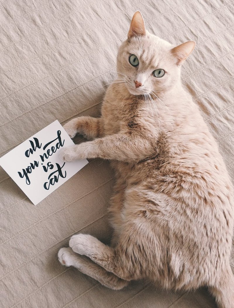 Основні правила плетіння з бісеру для новачків Рекомендації щодо плетіння з бісеру