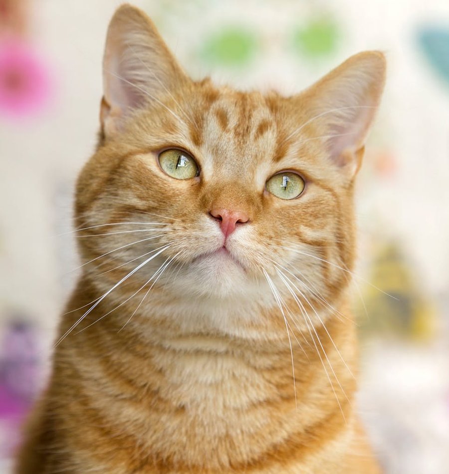 Упаковка прикрас у контейнерах: ідеї і поради Прикраси в контейнерах з розділенням