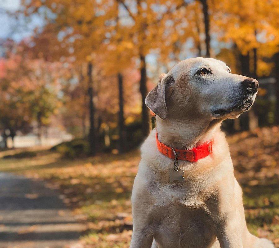 Типові помилки в бісероплетінні і як їх уникати Помилки в бісероплетінні