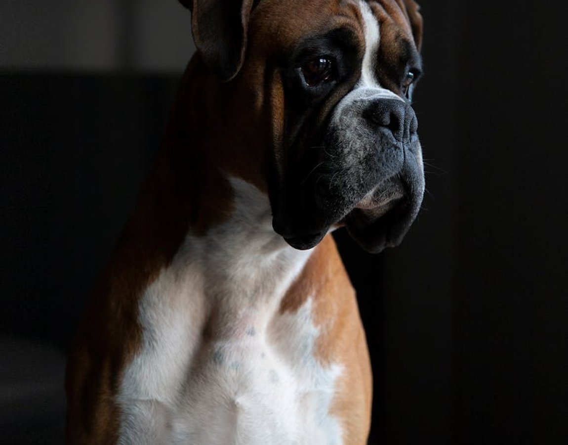 Майстер-клас: створення міні-кулонів з бісеру Міні-кулони з бісеру для прикрас