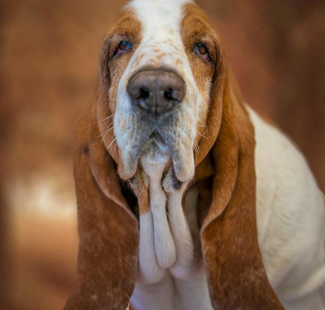 Як організувати благодійні акції з бісерними виробами Благодійні акції з бісерними виробами