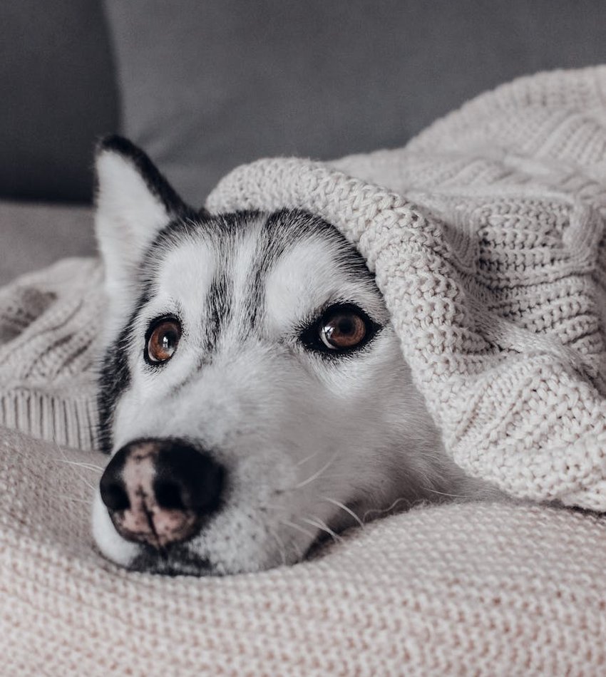 Як правильно обирати китайський бісер в магазинах Поради щодо вибору китайського бісеру