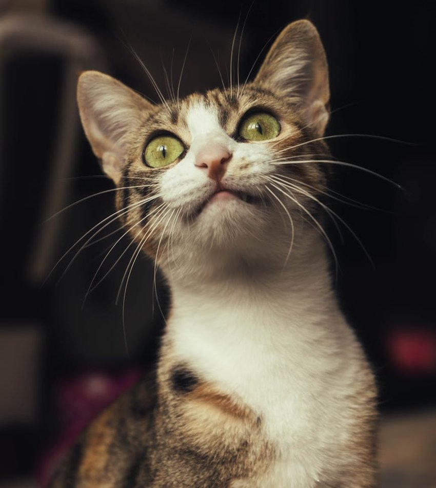 Як ефективно продавати прикраси з бісеру Поради для успішного продажу прикрас з бісеру