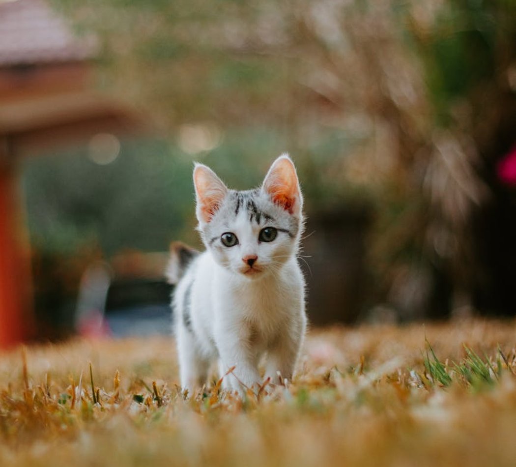 Помилки в бісероплетінні та як їх уникнути Типові помилки в бісероплетінні та їх уникнення
