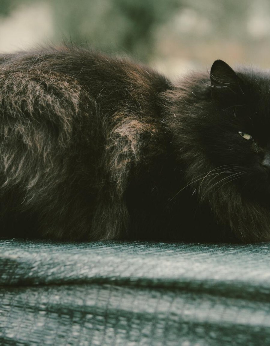 Естетика народних мотивів у сучасній біжутерії Прикраса з народними мотивами на фоні тканини