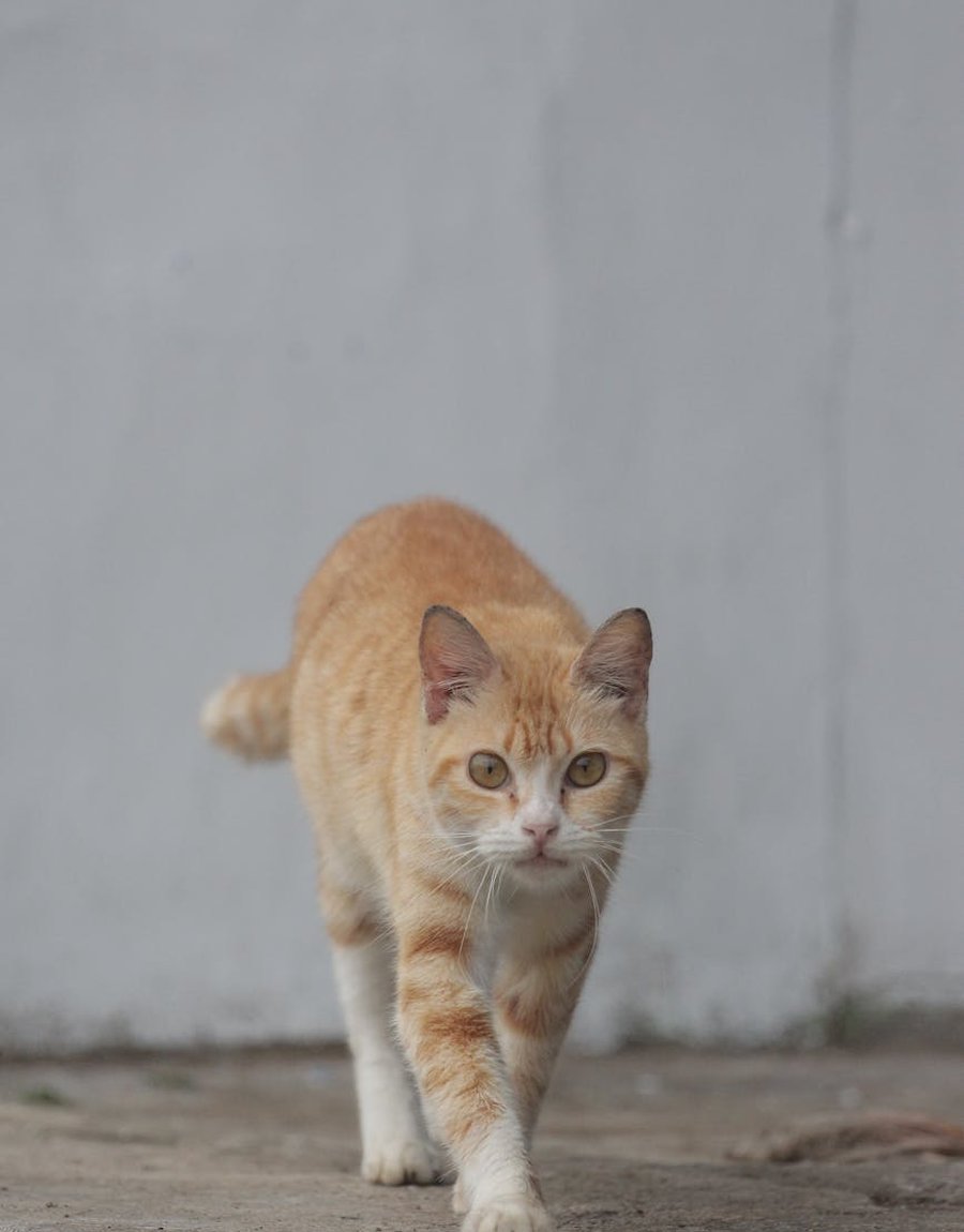 Етика використання антикварних елементів у біжутерії Антикварні елементи у прикрасах з бісеру