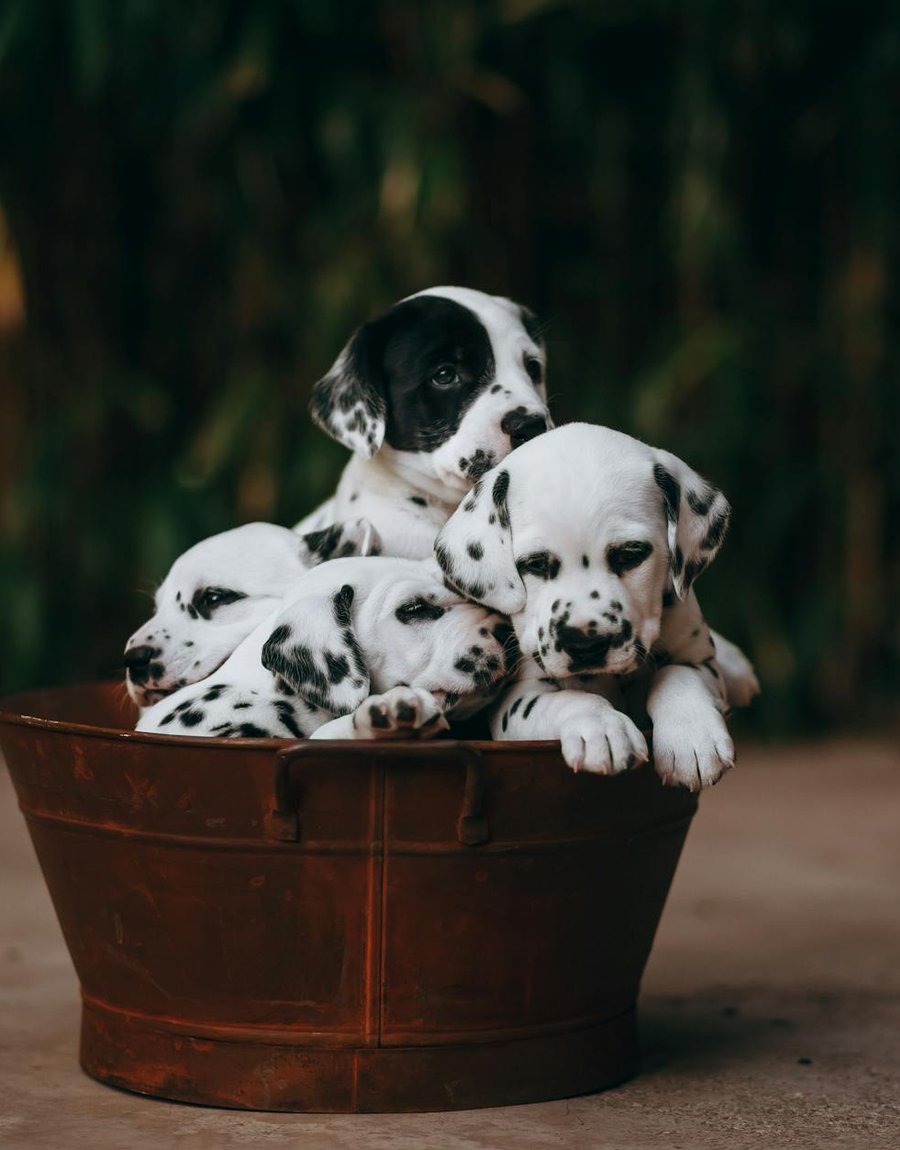 Покрокова інструкція для створення бісерної троянди Кроки виготовлення бісерної троянди