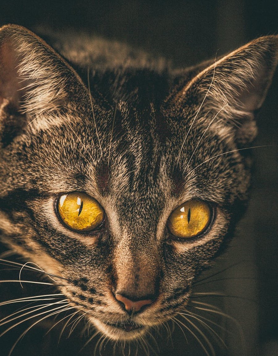 Типові помилки при виготовленні прикрас з бісеру Перелік типових помилок у платформах для біжутерії