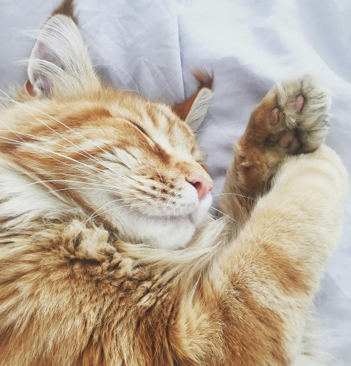 Купівля наборів китайського бісеру для створення прикрас Кольорові набори китайського бісеру на столі