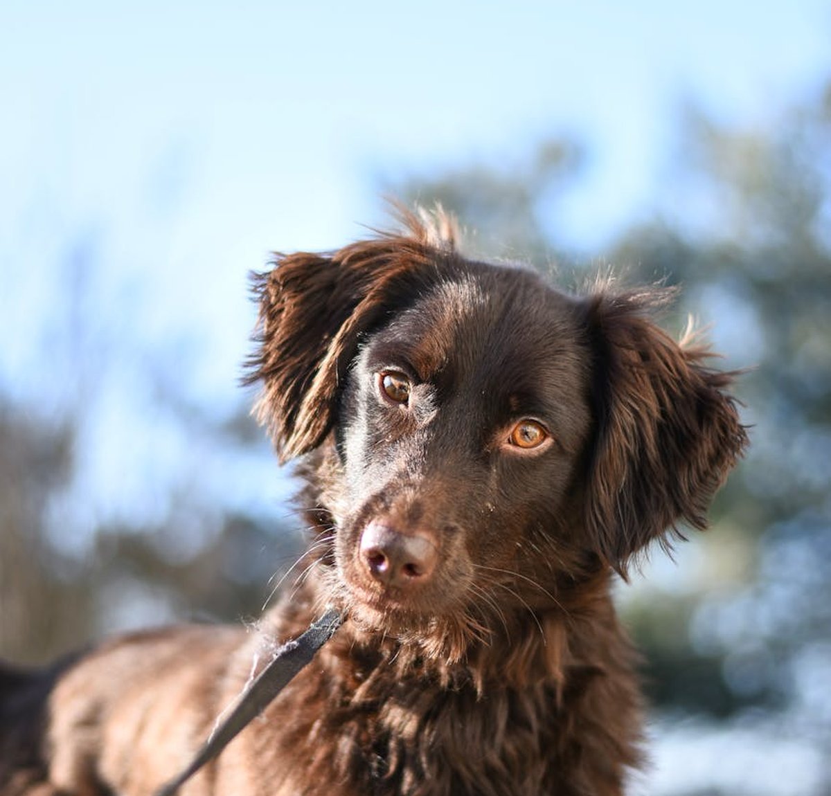 Як прикріпити підвіску до весільного браслета Підвіска для декору весільного браслета