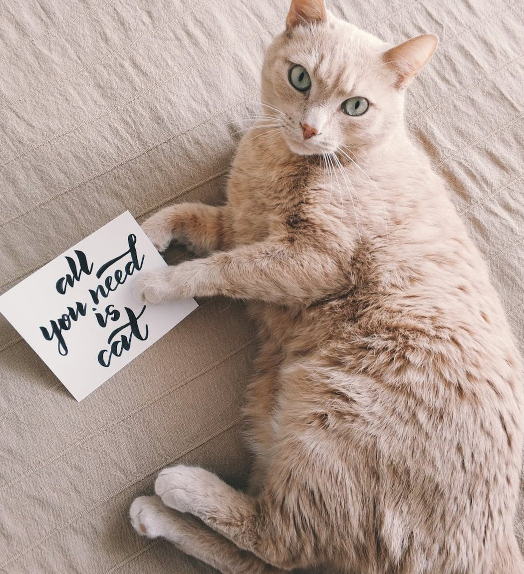 Основні техніки бісероплетіння для початківців Інструменти для технік бісероплетіння