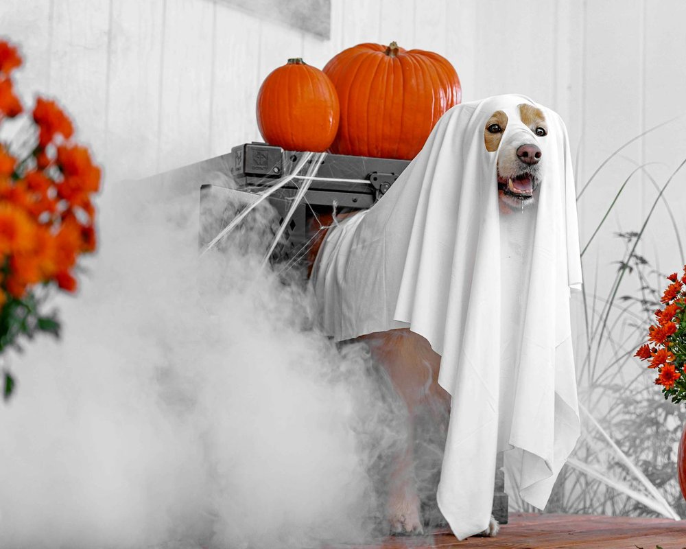 Лупа для бісеру: інструмент для професійної деталізації Лупа для бісеру на робочому столі