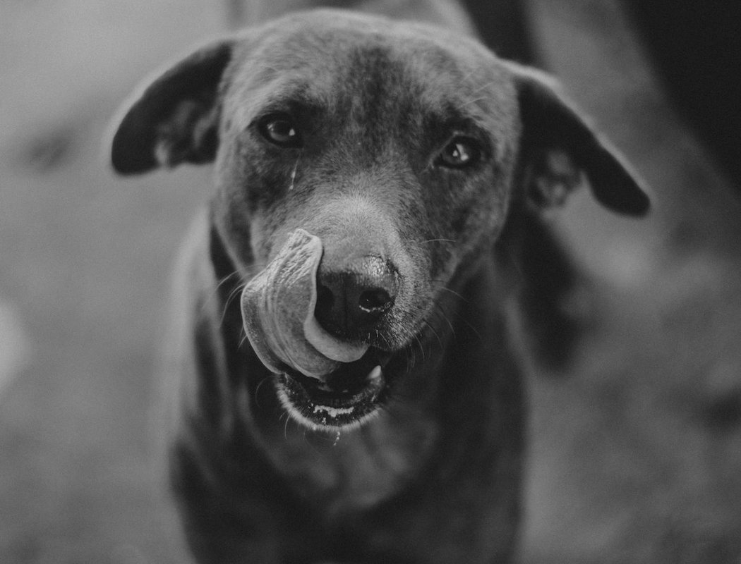 Як додати декор до сережок з бісеру: поради Декоративні елементи для сережок з бісеру