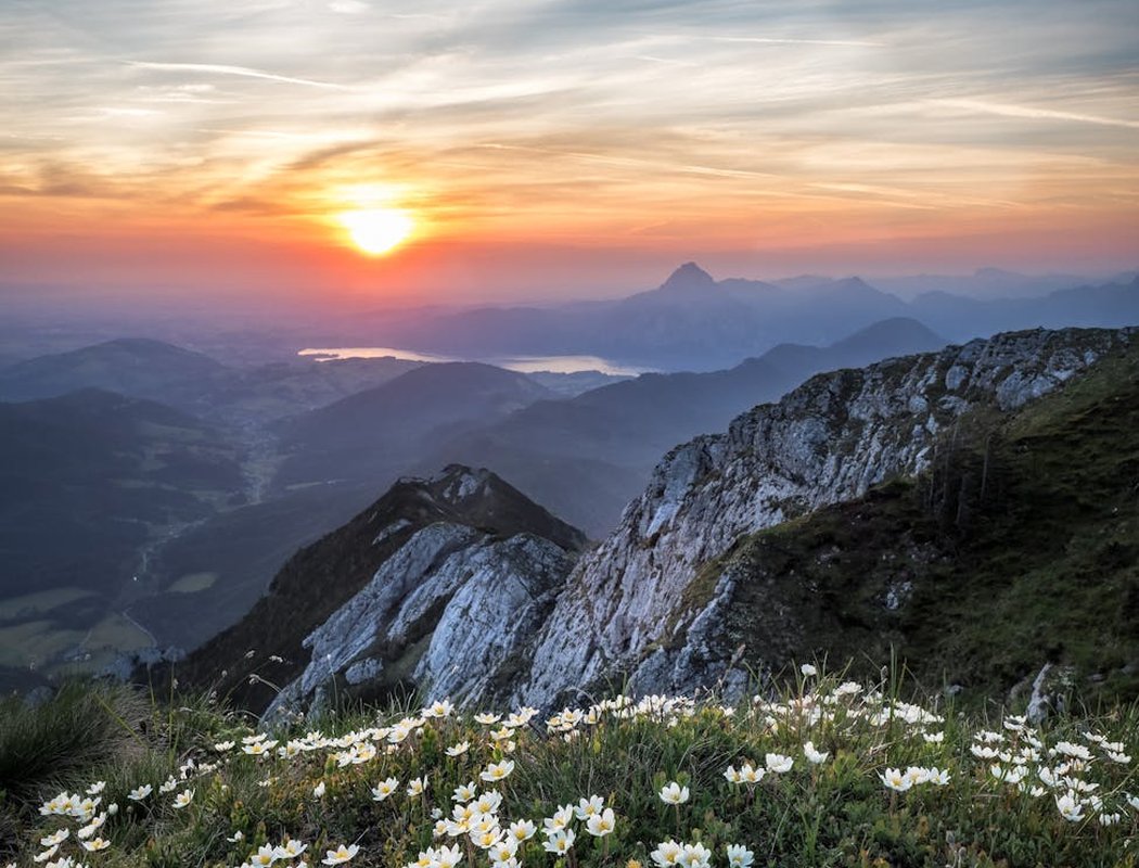 Манера плетіння бісеру: від класики до сучасності Плетіння бісеру: манера та стилі