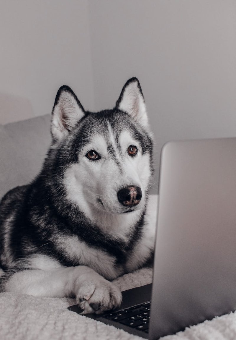 Бюджетний бісер: доступні варіанти для творчості Бюджетний бісер для хендмейду