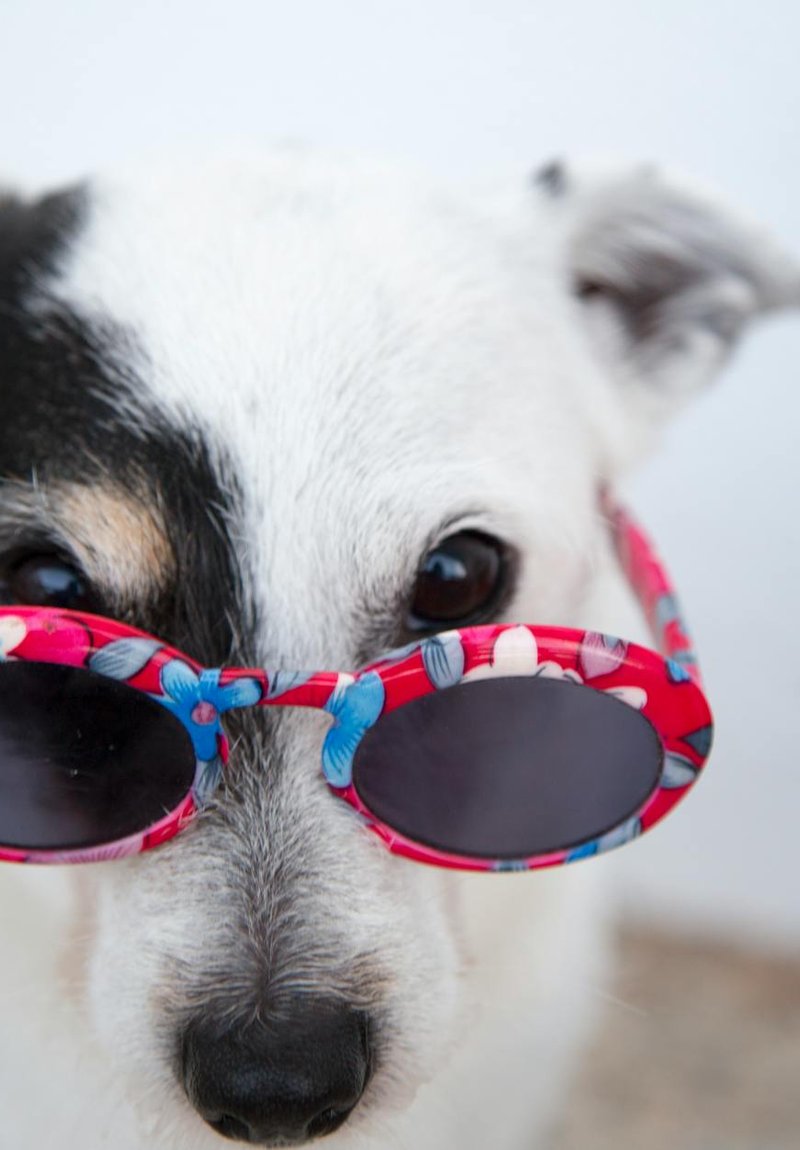 Якісні металеві основи для ваших браслетів Металеві основи для виготовлення браслетів