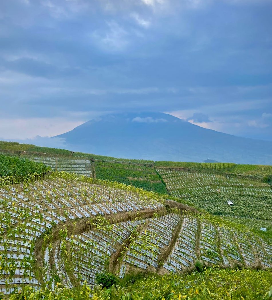 Техніки ажурного плетіння: секрети створення красивих виробів Техніки ажурного плетіння з бісером