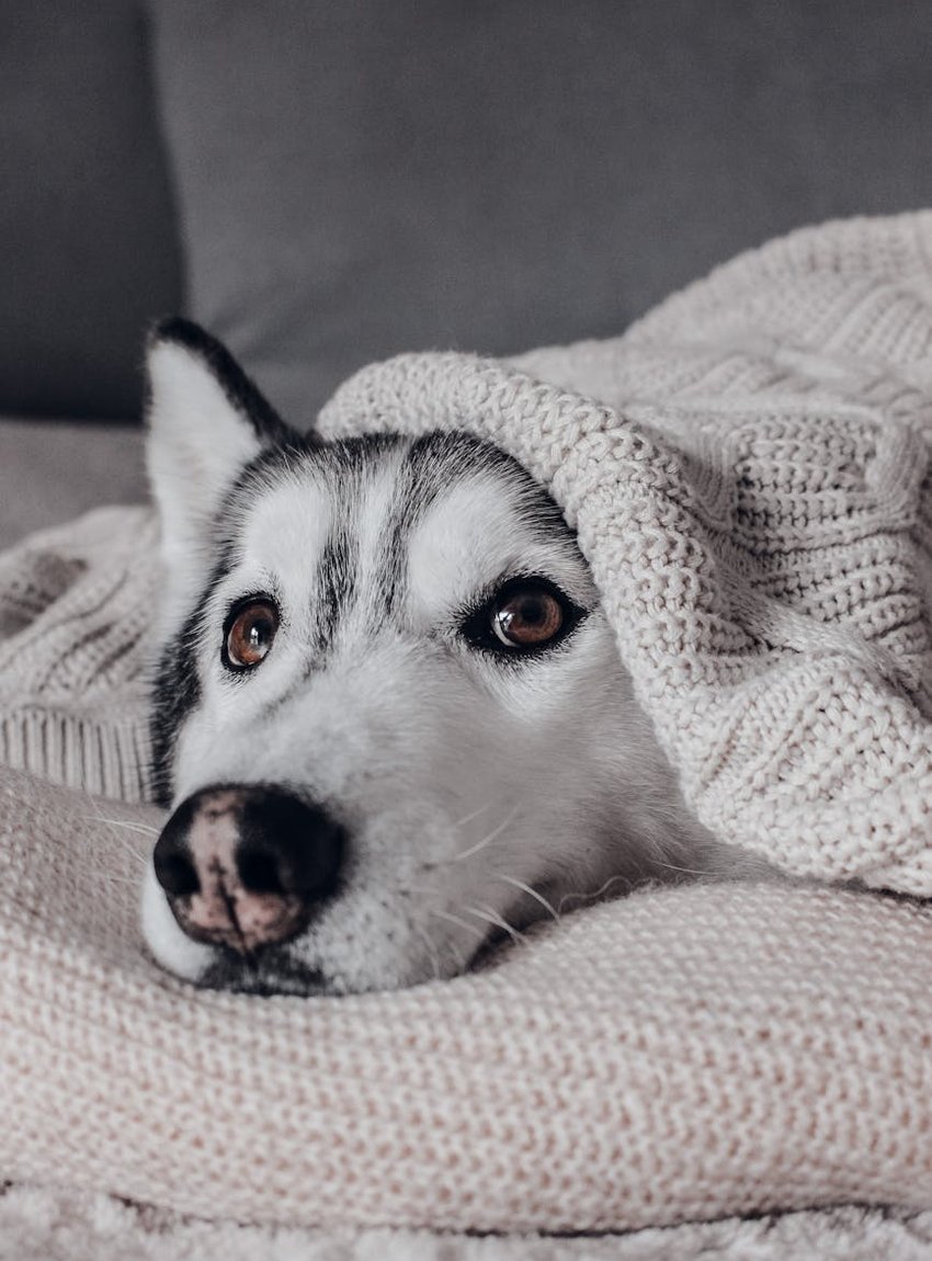 Тонкі браслети з бісеру: елегантні прикраси на будь-який випадок тонкі браслети з бісеру в елегантному стилі