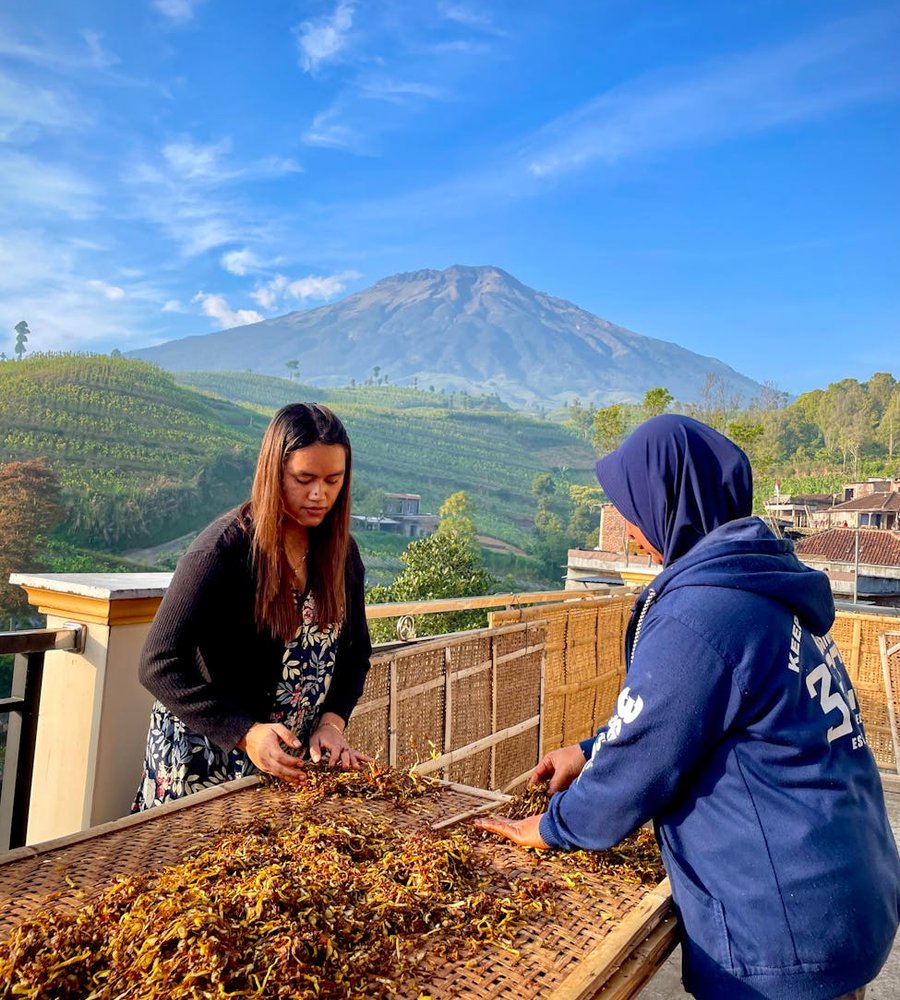 Естетичне деревце з квітами, виготовлене з бісеру Деревце з бісеру з квітами