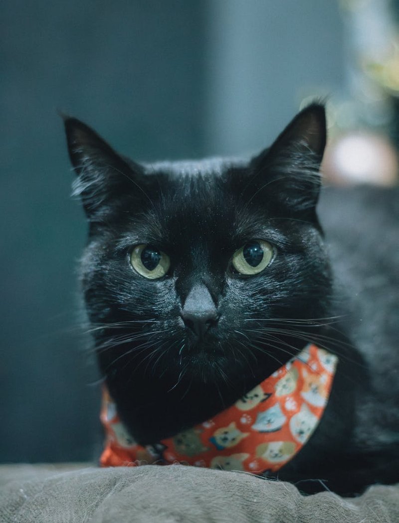 Стильні браслети шамбала, виготовлені з бісеру Різноманітні браслети шамбала з бісеру