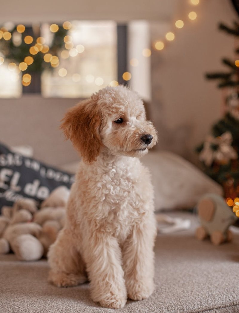 Креативний декор для організації бісерного простору Стильні коробки для зберігання бісеру