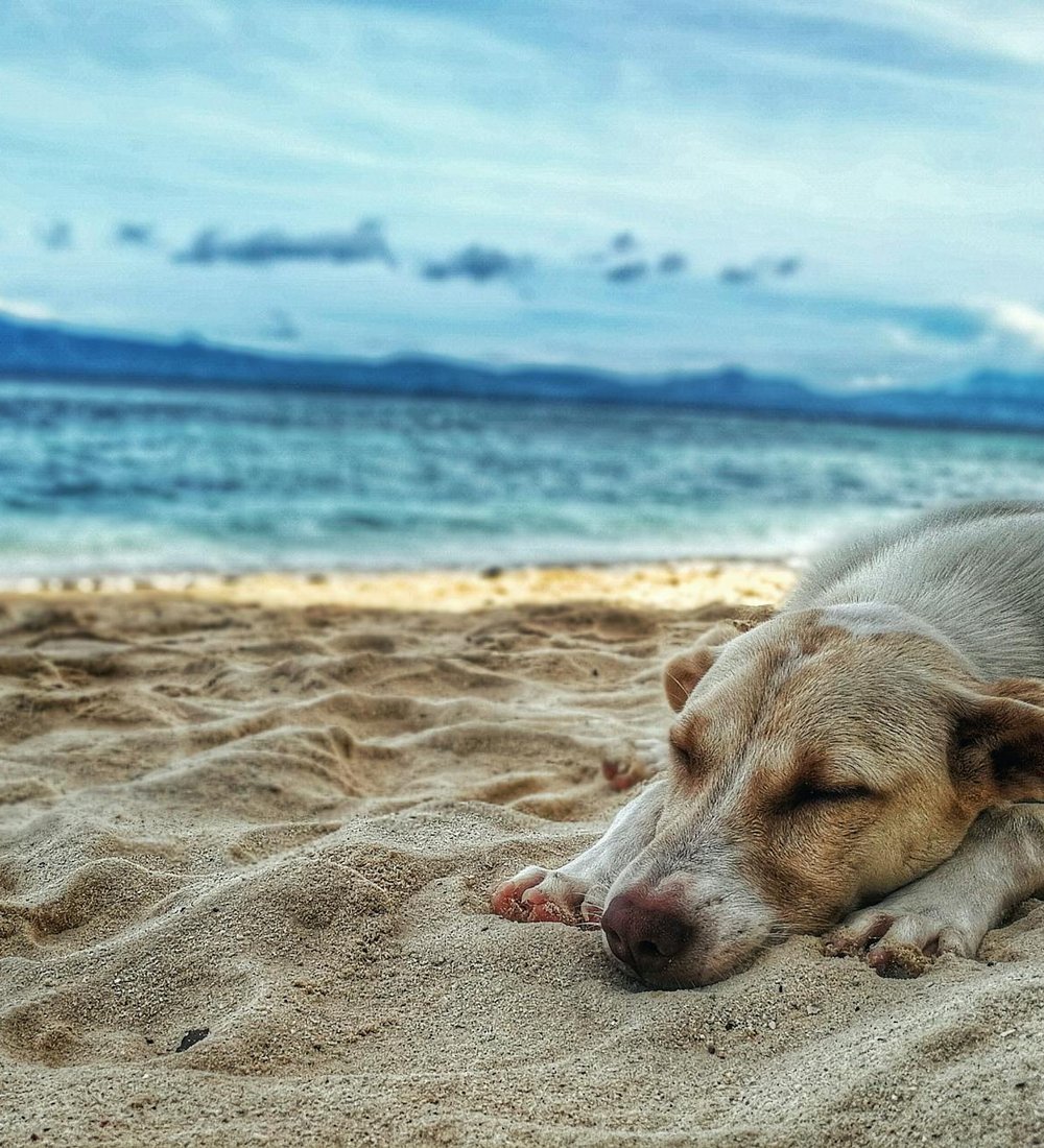 Схеми для створення складних візерунків з бісеру Приклад схеми вишивки бісером