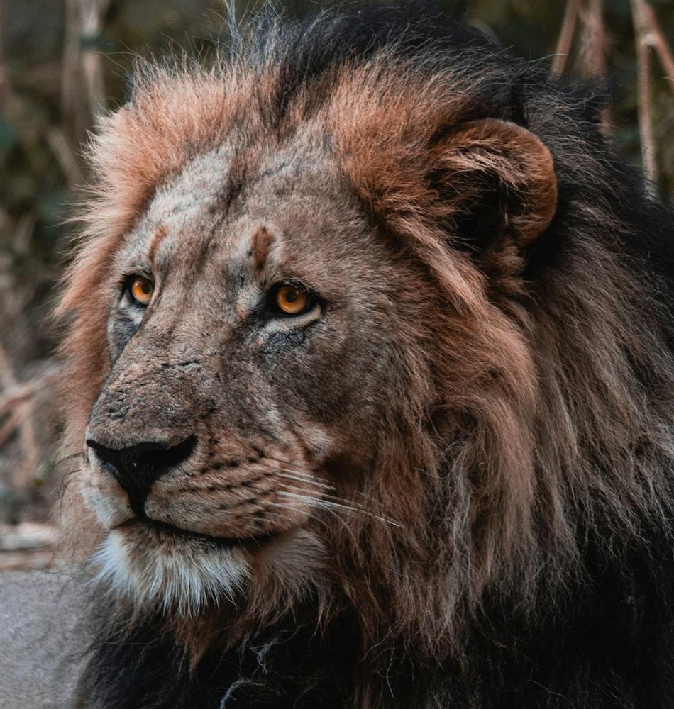 Як правильно оцінити ціну бісерних виробів Ціноутворення для бісерних прикрас і наборів