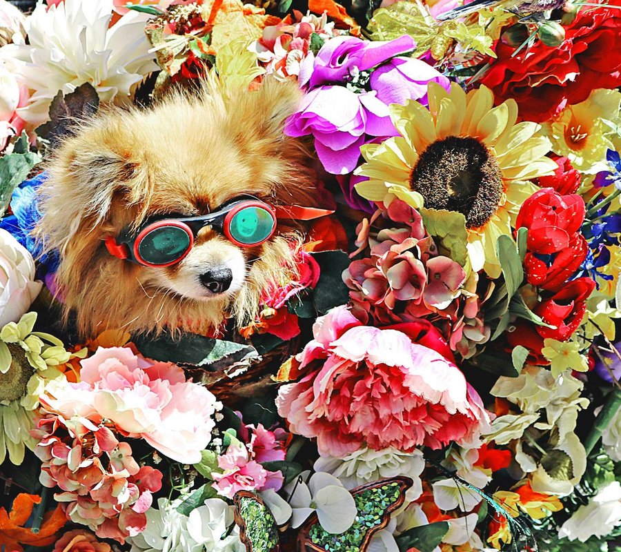 Ідеї подарункових наборів з бісеру для свят Як створити подарункові набори з бісеру