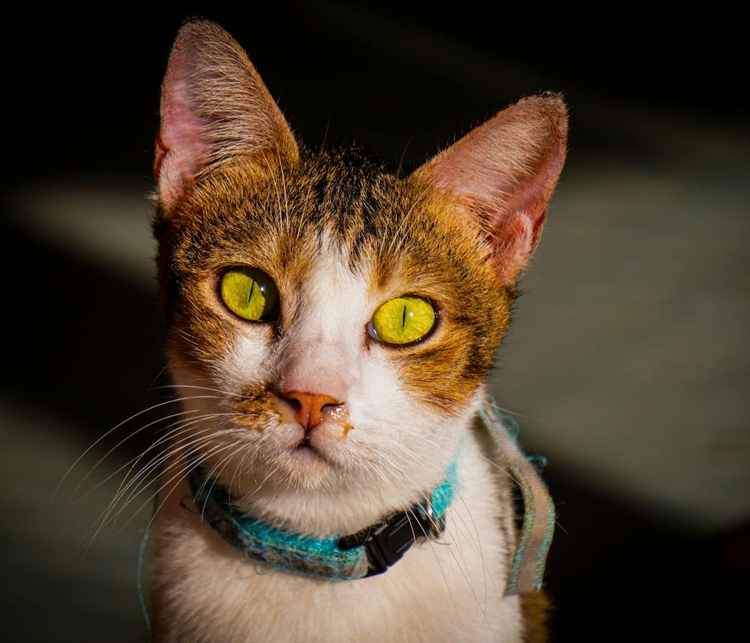 Як скласти подарункові набори з бісеру для свят Ідеї для створення подарункових наборів з бісеру