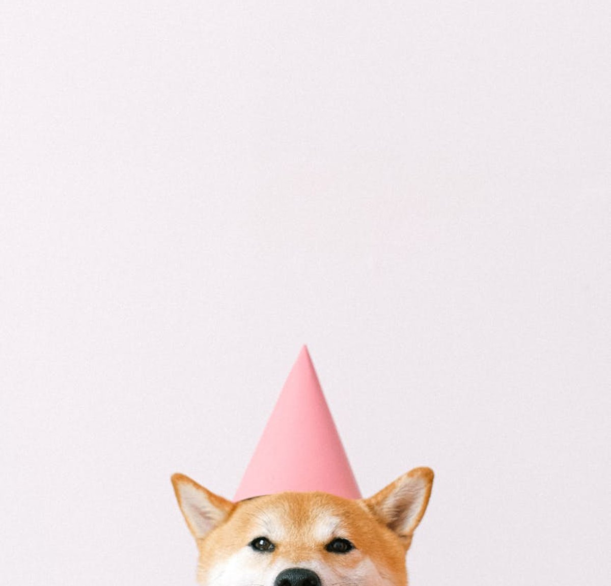 Покрокова інструкція для виготовлення бісерного кільця Процес створення бісерного кільця своїми руками