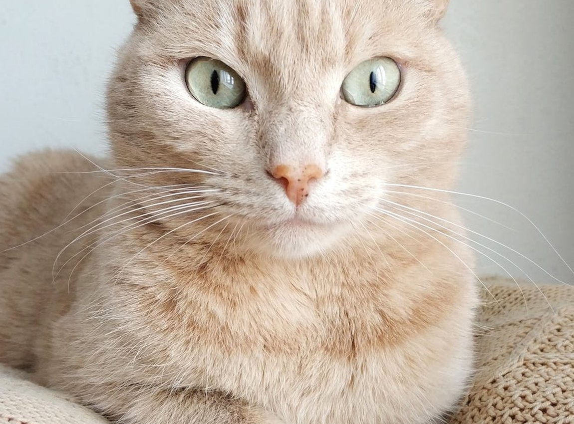 Як продавати комплекти бісерних прикрас для збільшення продажів Подарункові комплекти бісерних прикрас