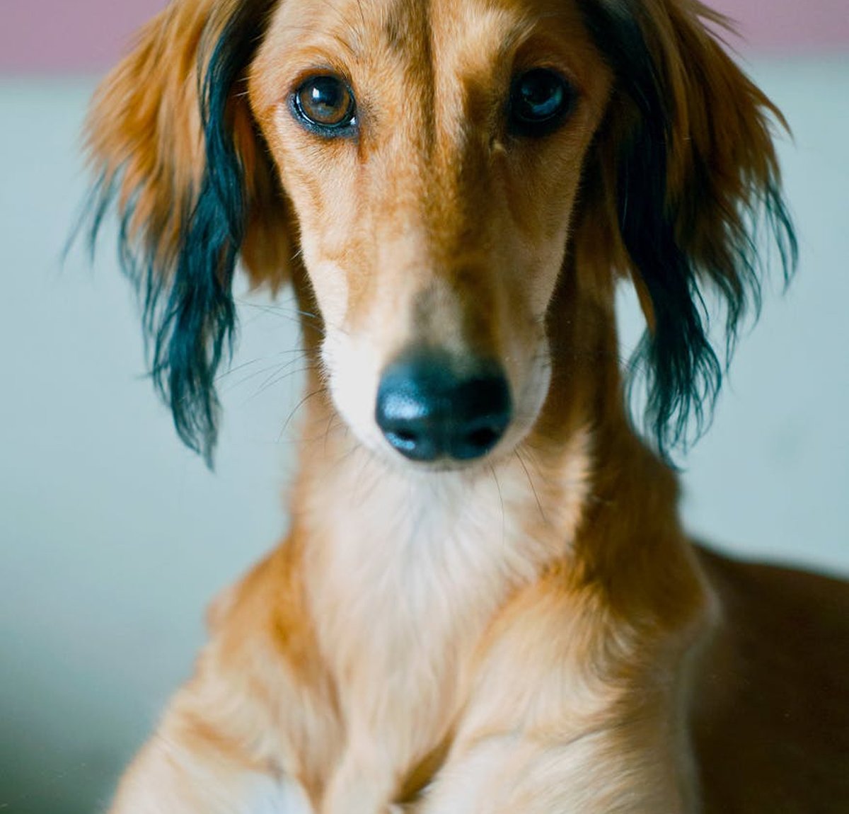 Креативні ідеї для подарункових бирок з бісером Приклад подарункових бирок з бісером