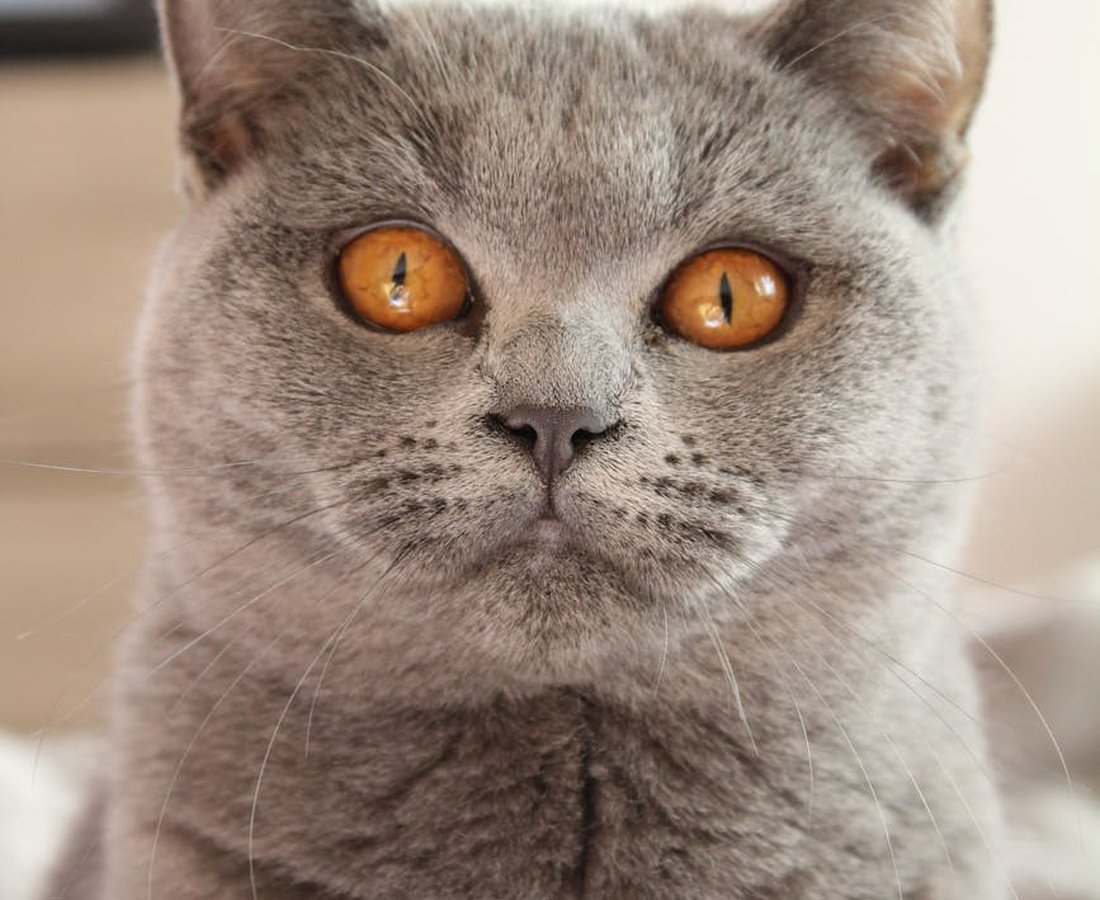 Покроковий майстер-клас з виготовлення сережок Toho Майстер-клас з виготовлення сережок Toho