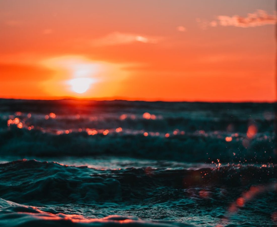 Як перетворити сорочки з бісером на модний тренд Прикрасні сорочки з бісером