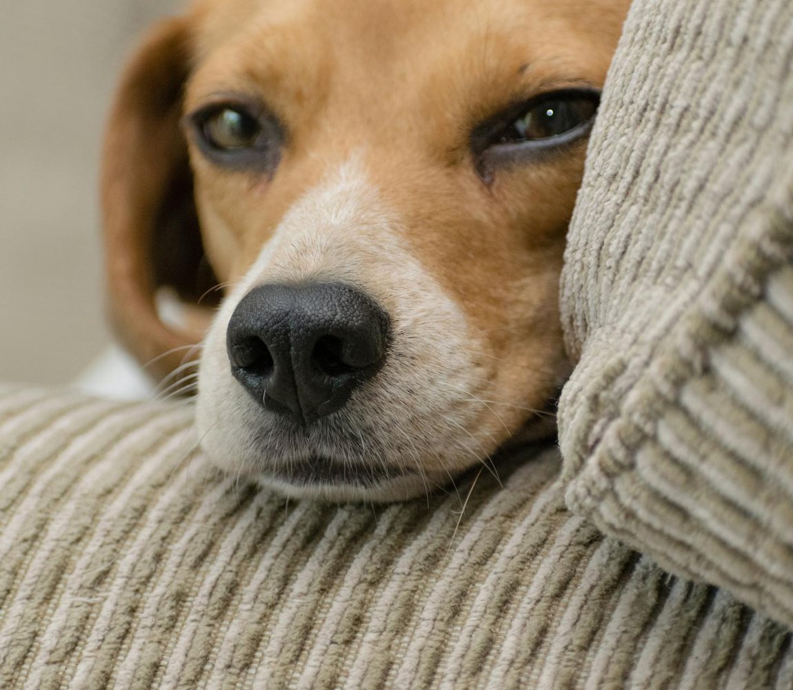 Покрокові схеми плетіння бісером Схеми плетіння бісером для початківців